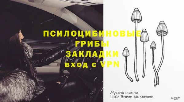 ГАЛЛЮЦИНОГЕННЫЕ ГРИБЫ Волоколамск